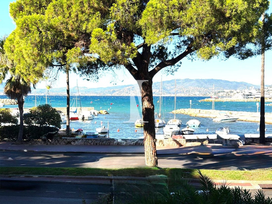 Apartment in Cannes, Provence-Alpes-Côte d'Azur, France 3 - 17072476