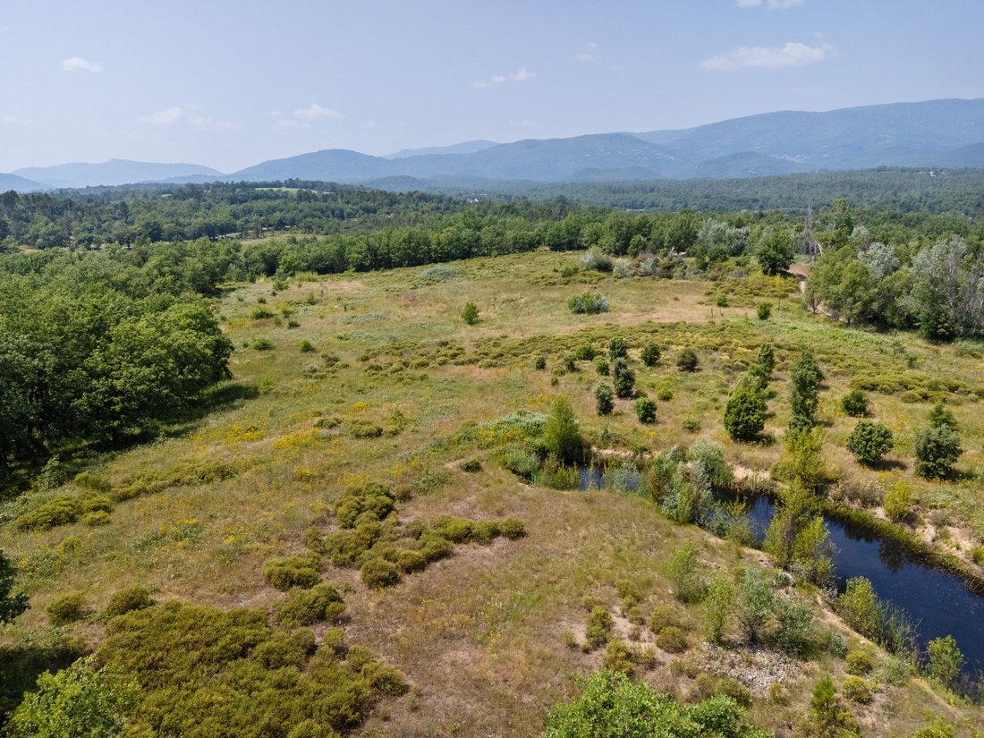 Land in Fayence, Provence-Alpes-Côte d'Azur, France 3 - 17073008