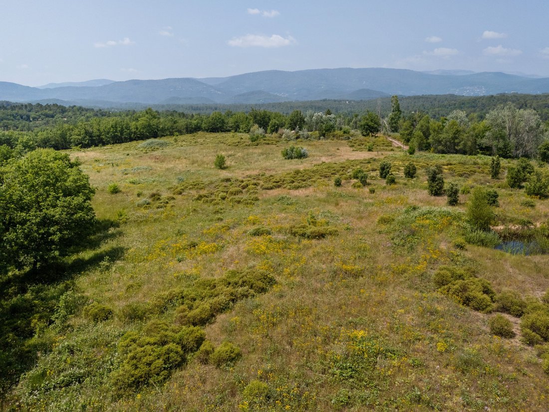 Land in Fayence, Provence-Alpes-Côte d'Azur, France 2 - 17073008