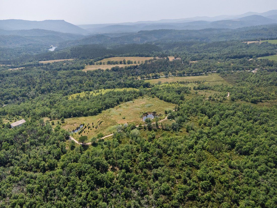 Land in Fayence, Provence-Alpes-Côte d'Azur, France 1 - 17073008