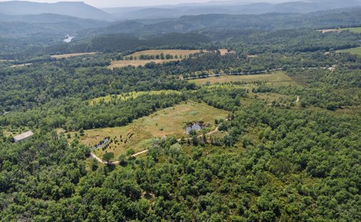 Land in Fayence, Provence-Alpes-Côte d'Azur, Frankreich 1