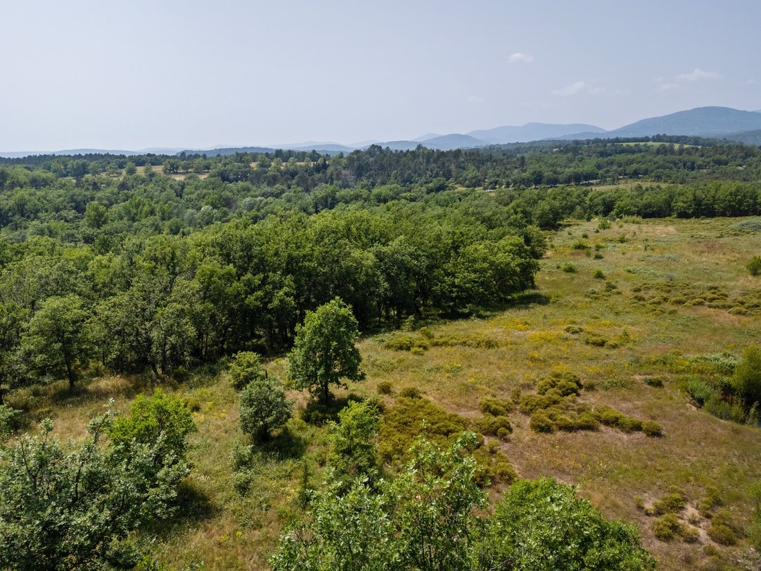 Land in Fayence, Provence-Alpes-Côte d'Azur, France 5 - 17073008