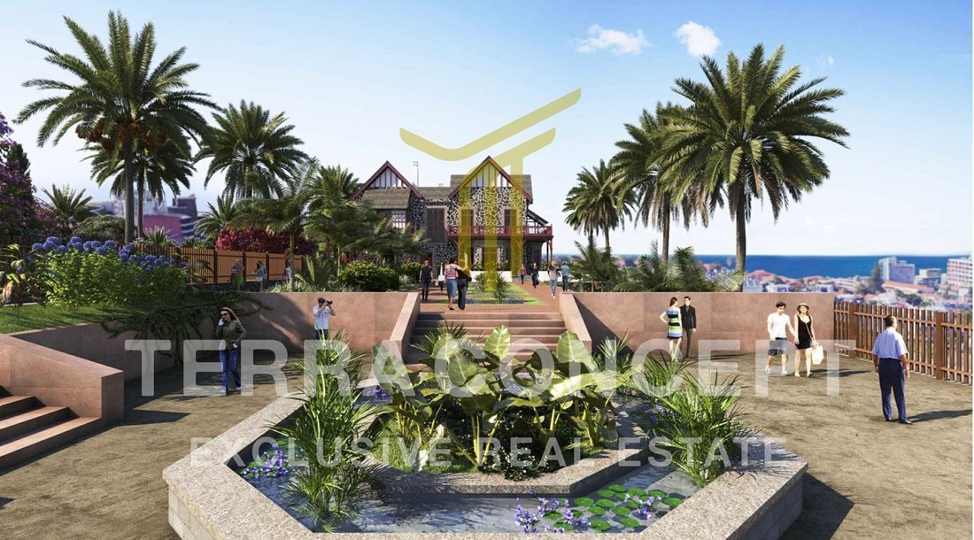 Villa in Puerto de la Cruz, Canary Islands, Spain 4 - 17073281