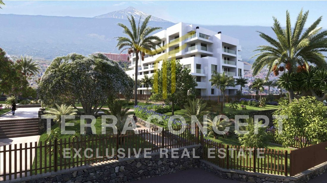 Villa in Puerto de la Cruz, Canary Islands, Spain 5 - 17073281