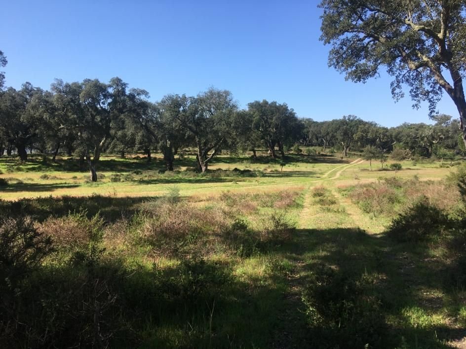 Land in Poceirao e Marateca, Setubal, Portugal 2 - 17073100