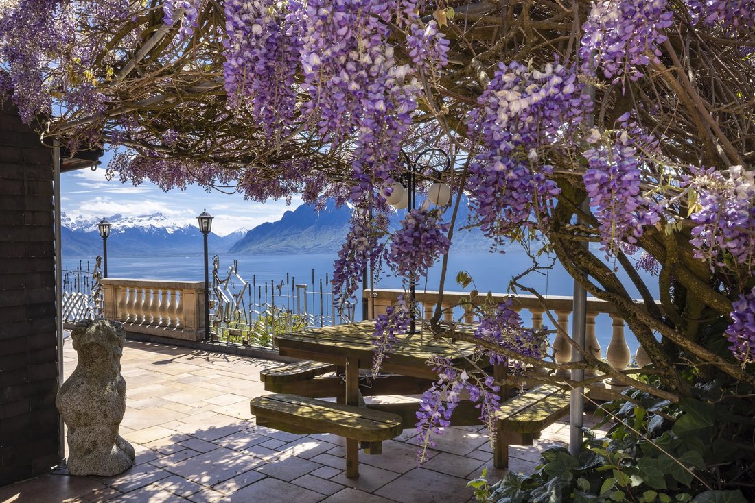 Property With Splendid View Of Lake Geneva And Lavaux