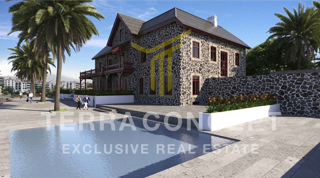 Villa in Puerto de la Cruz, Canary Islands, Spain 3 - 17073281
