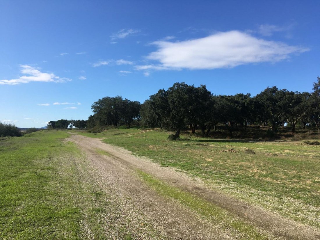 Land in Poceirao e Marateca, Setubal, Portugal 4 - 17073100