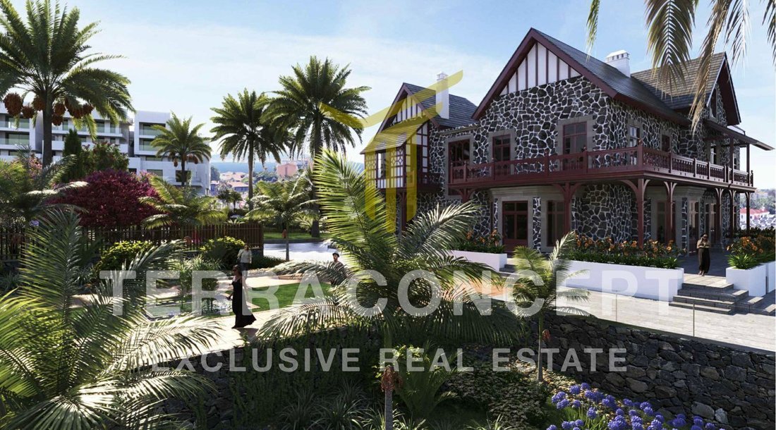 Villa in Puerto de la Cruz, Canary Islands, Spain 2 - 17073281