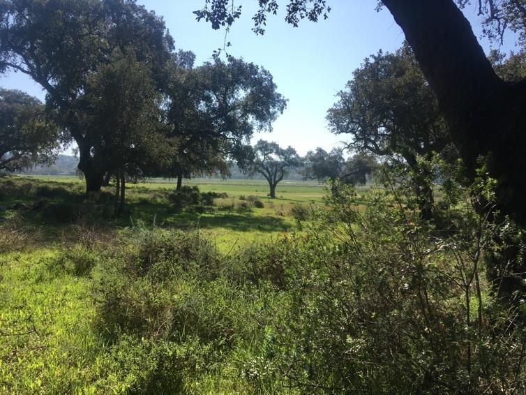 Land in Poceirao e Marateca, Setubal, Portugal 5 - 17073100