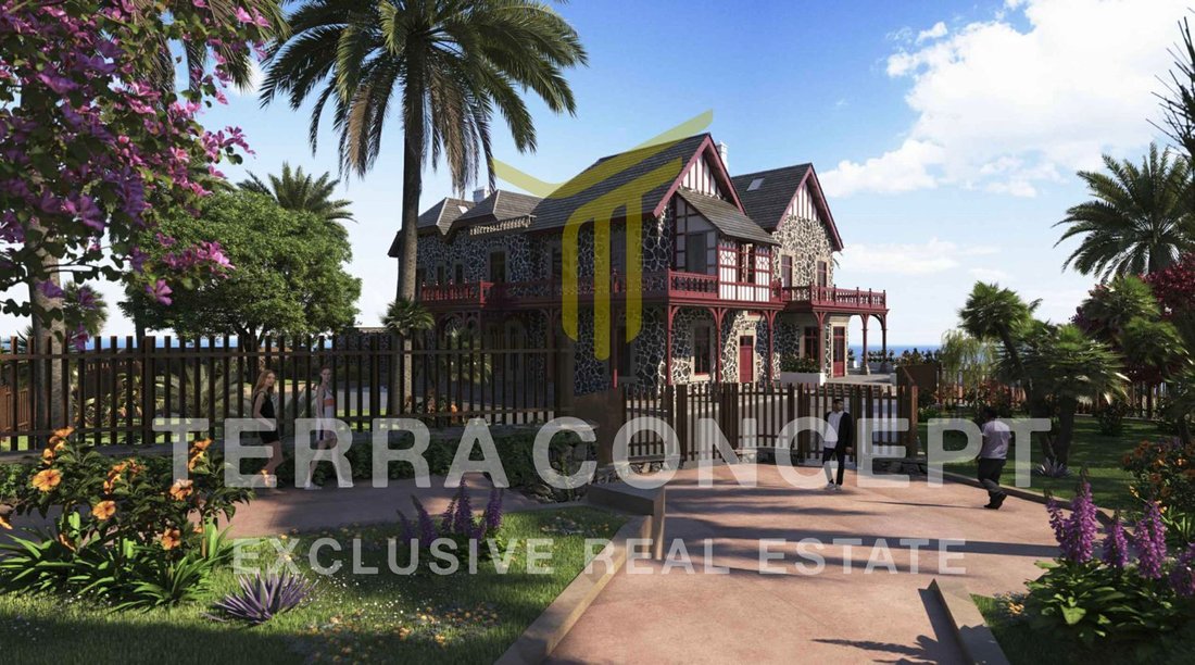Villa in Puerto de la Cruz, Canary Islands, Spain 1 - 17073281