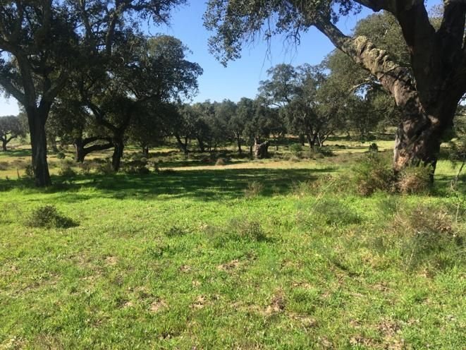 Land in Poceirao e Marateca, Setubal, Portugal 1 - 17073100