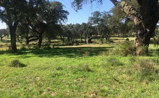 Land in Poceirao e Marateca, Setubal, Portugal 1