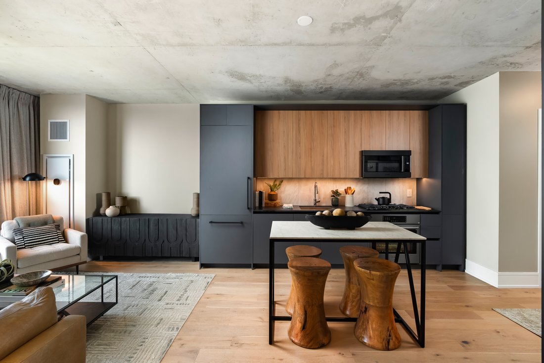 Condo in Chicago, Illinois, United States 5 - 17072619