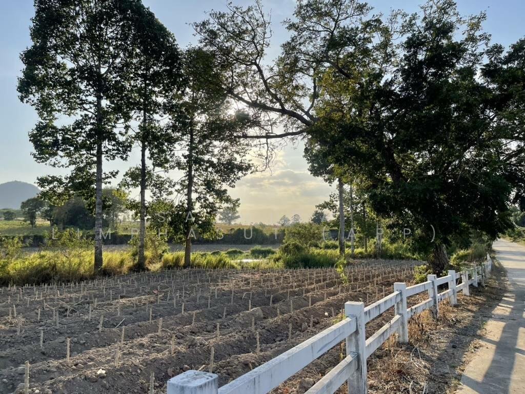 Land in Na Chom Thian, Chon Buri, Thailand 3 - 16569997
