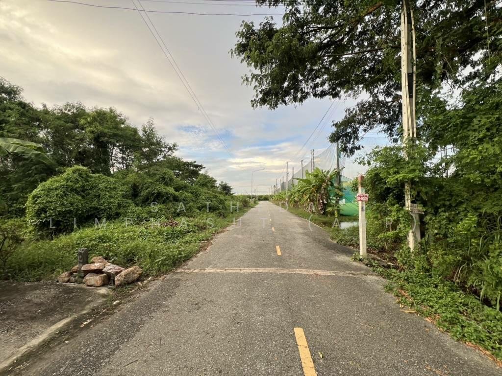 Land in Sattahip, Chon Buri, Thailand 1 - 16598086