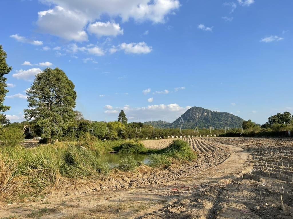 Land in Na Chom Thian, Chon Buri, Thailand 1 - 16569997