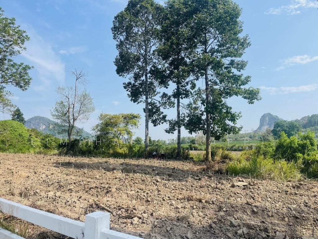 Land in Na Chom Thian, Chon Buri, Thailand 4 - 16569997