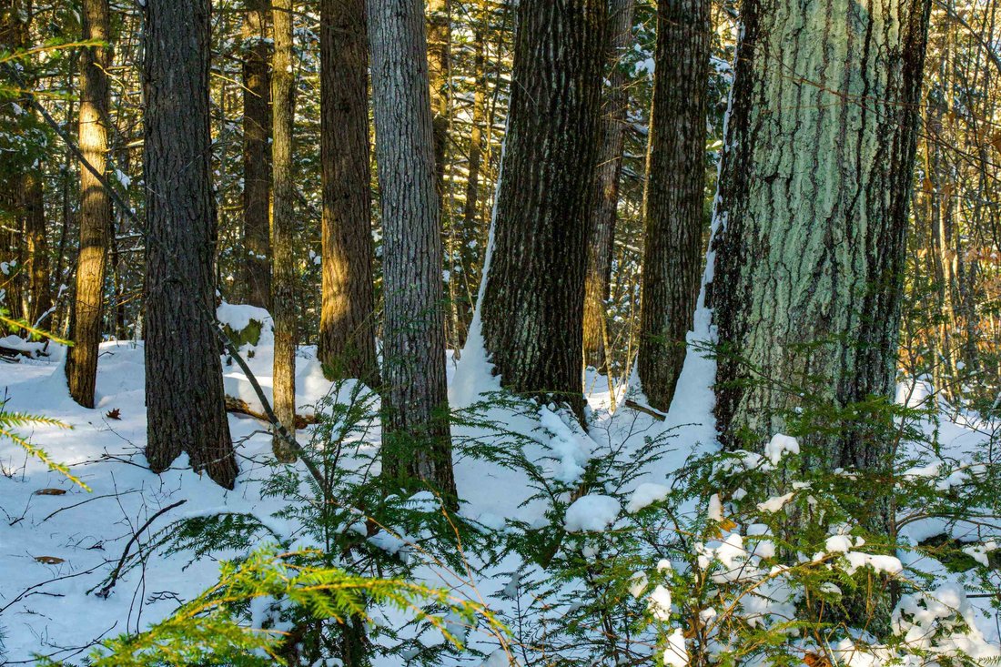 Land in Goffstown, New Hampshire, United States 2 - 17073766