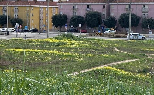 Terreno a Peniche, Distretto di Leiria, Portogallo 1