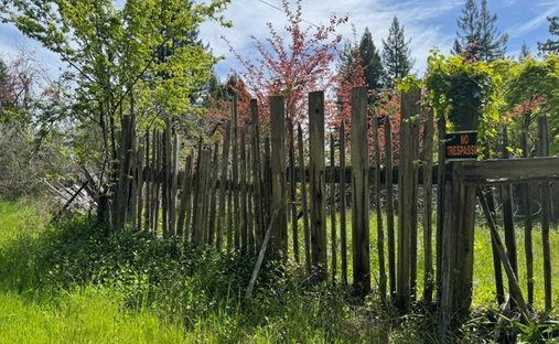Land in Westport, California, United States 1