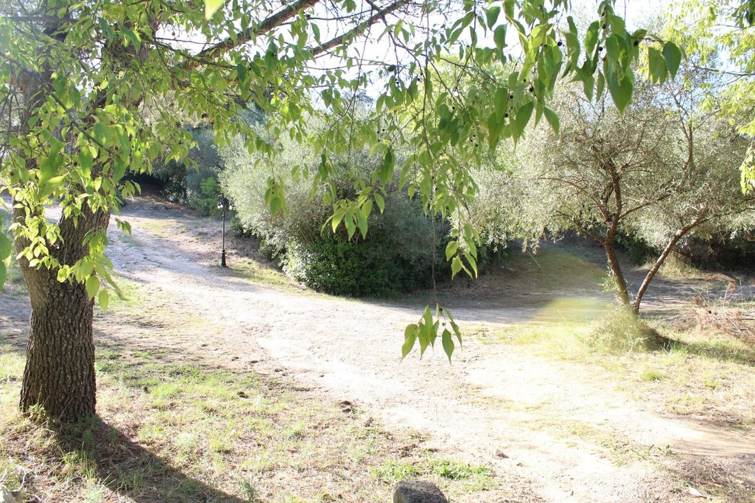 Land in Bernis, Occitania, France 4 - 17074741