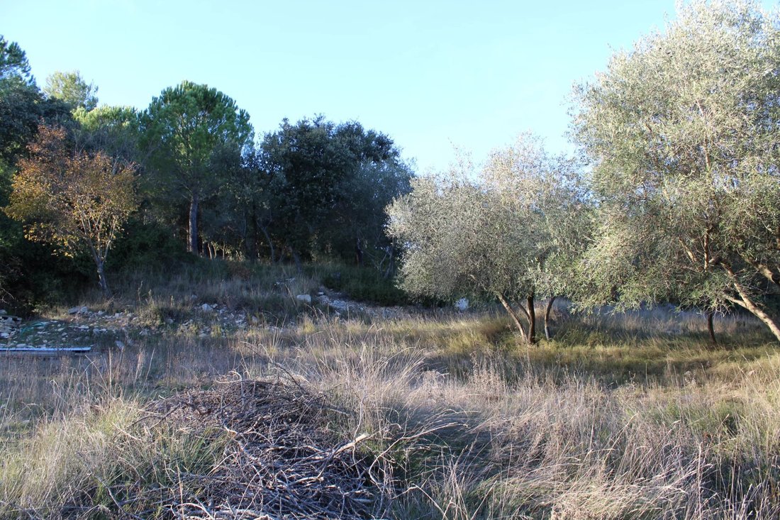 Land in Uchaud, Occitania, France 1 - 17074723