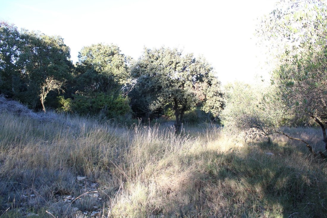 Land in Uchaud, Occitania, France 3 - 17074723