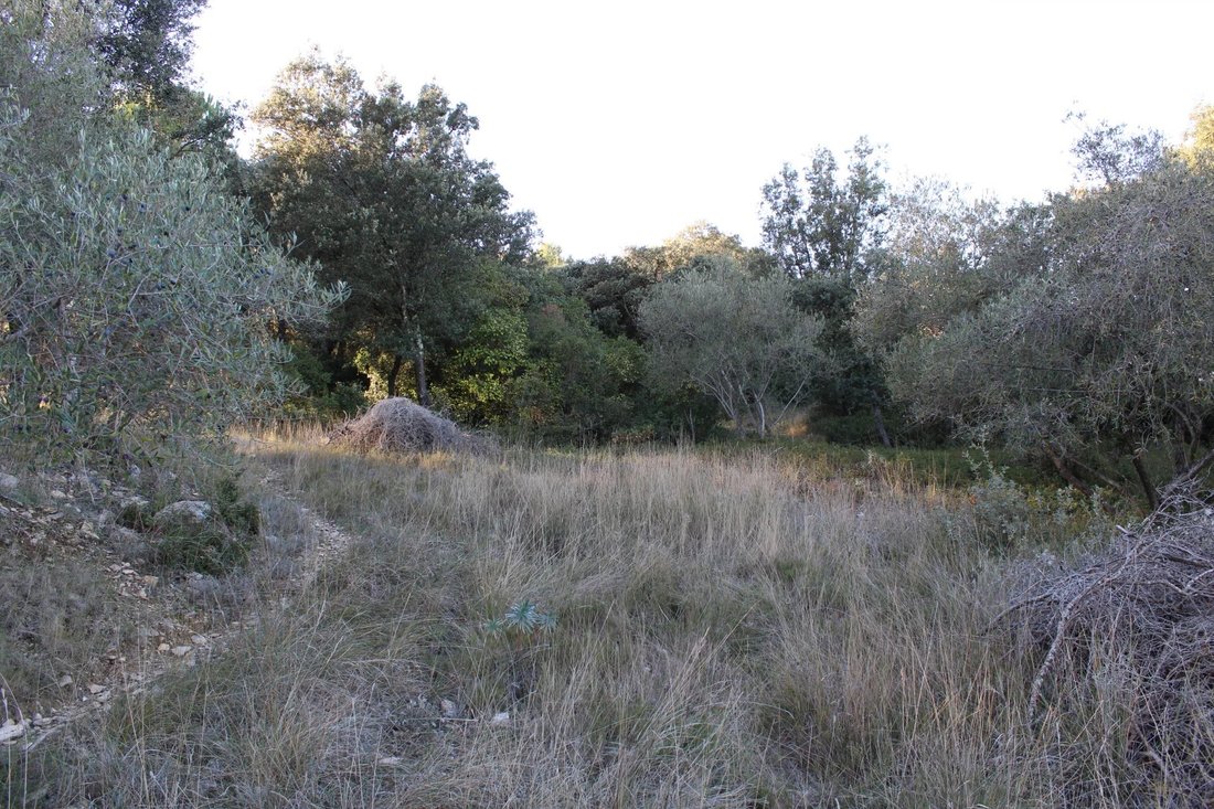 Land in Uchaud, Occitania, France 5 - 17074723