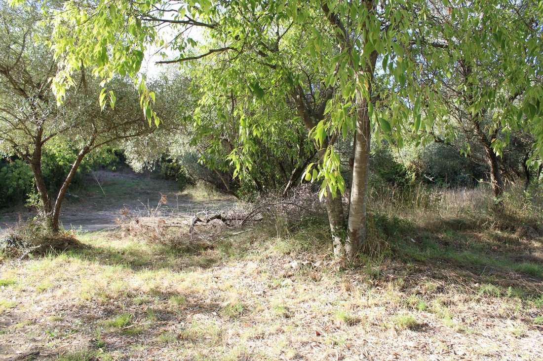 Land in Bernis, Occitania, France 1 - 17074741