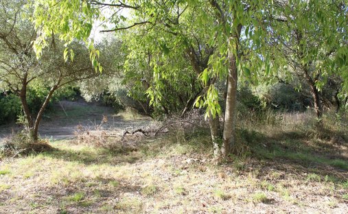Land in Bernis, Occitania, France 1
