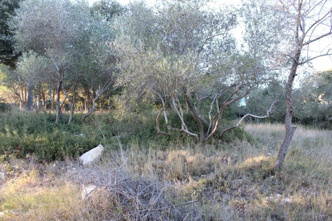 Land in Uchaud, Occitania, France 4 - 17074723