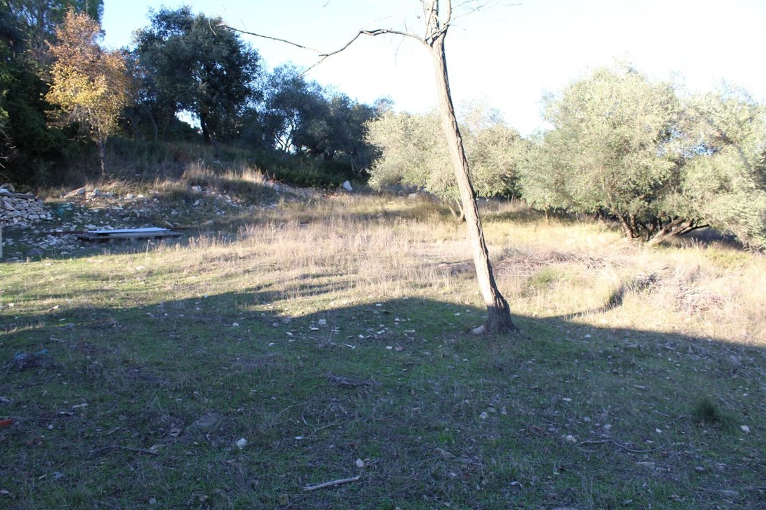 Land in Uchaud, Occitania, France 2 - 17074723