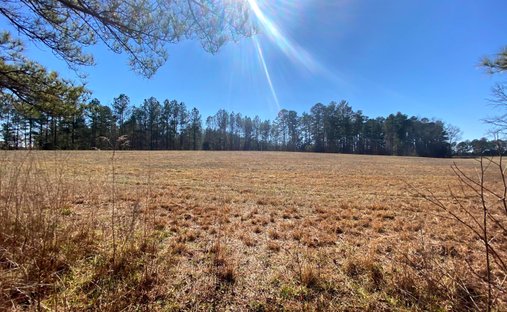 Land in Triangle Township, North Carolina, Vereinigte Staaten 1
