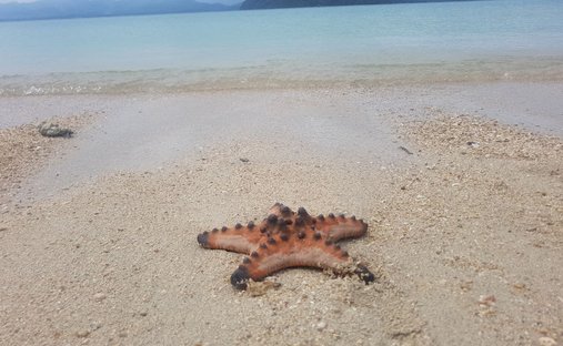 Private Island in Quezon, Philippines 1