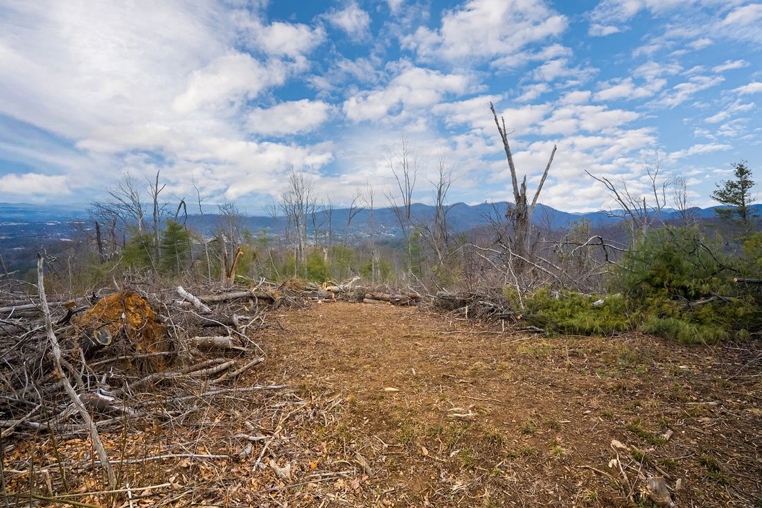 Land in Asheville, North Carolina, United States 1 - 17083178