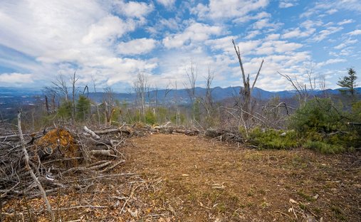 Land in Asheville, North Carolina, United States 1