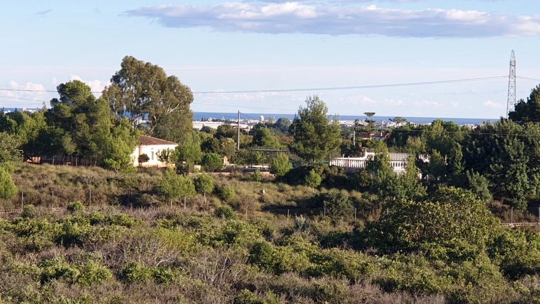 Land in Naquera / Naquera, Valencian Community, Spain 2 - 17080829