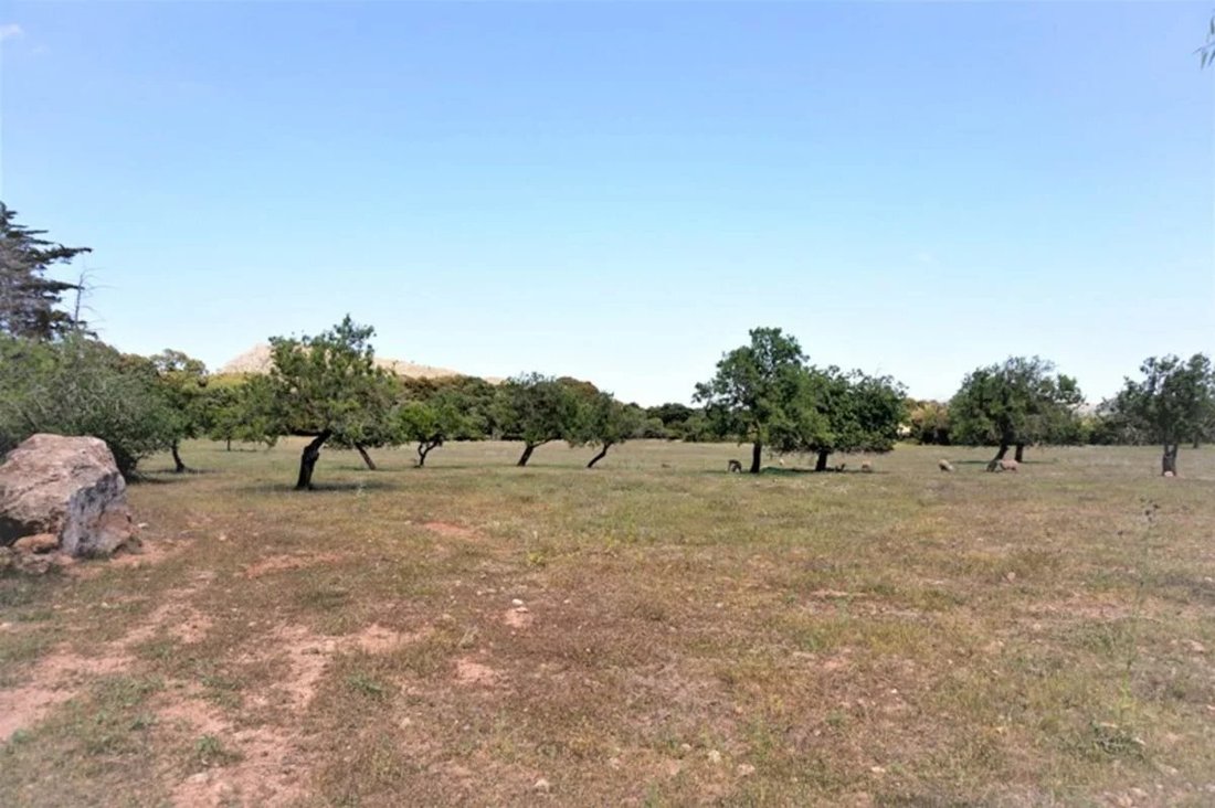 Land in Arta, Balearic Islands, Spain 2 - 17078432