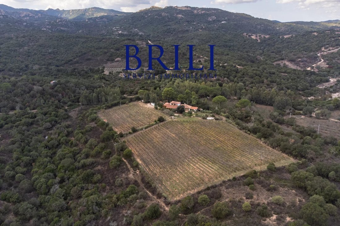 Villa in Peripheral Fractions, Olbia, Sardinia 5 - 16473384