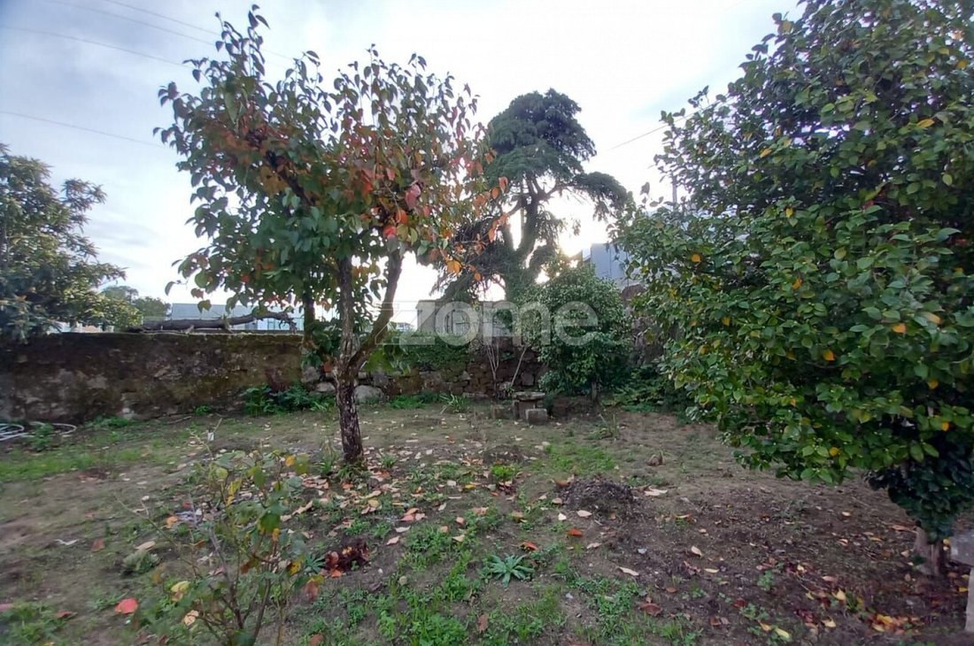 Finca in Marco, Porto District, Portugal 5 - 17079624