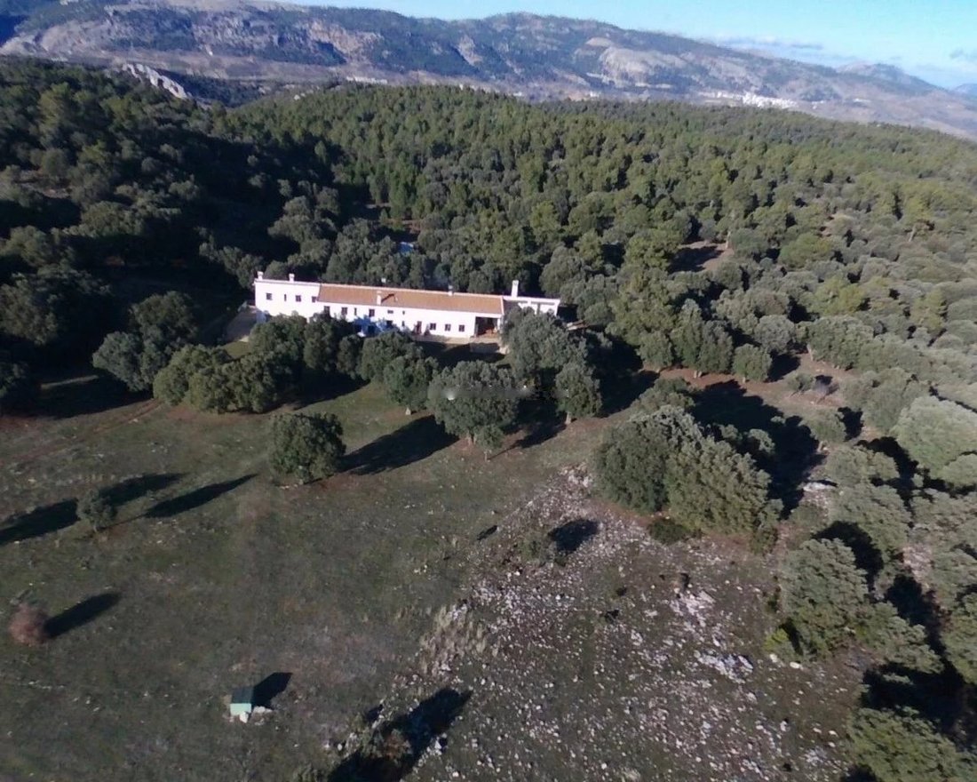 House in Huescar, Andalusia, Spain 4 - 17080901