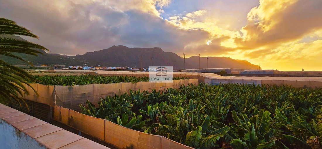 Townhouse in Buenavista del Norte, Canary Islands, Spain 5 - 15362093