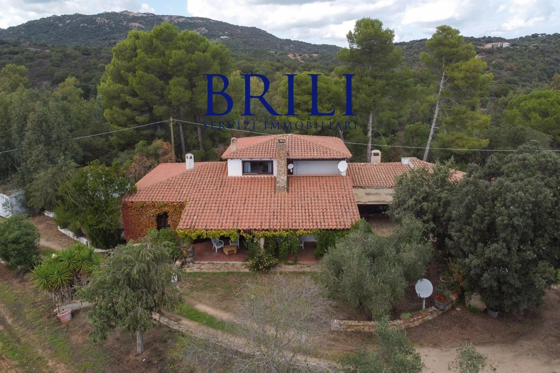 Villa in Peripheral Fractions, Olbia, Sardinia 3 - 16473384