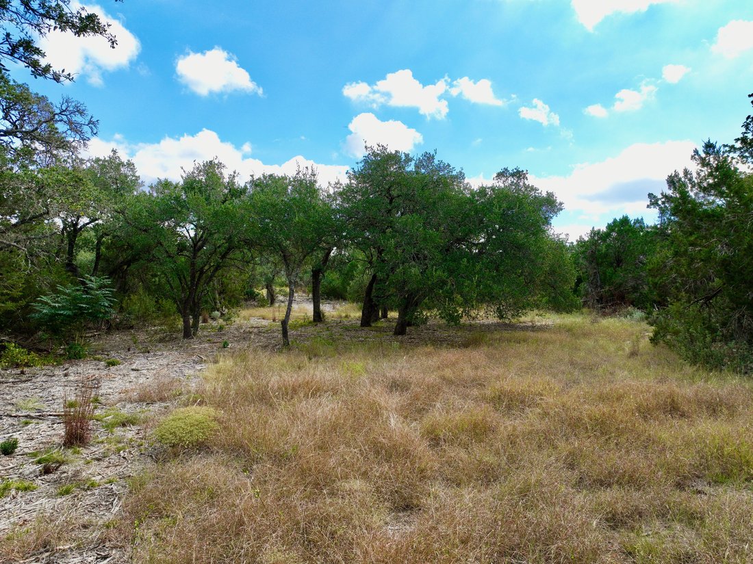Farm Ranch in Wimberley, Texas, United States 4 - 17083052
