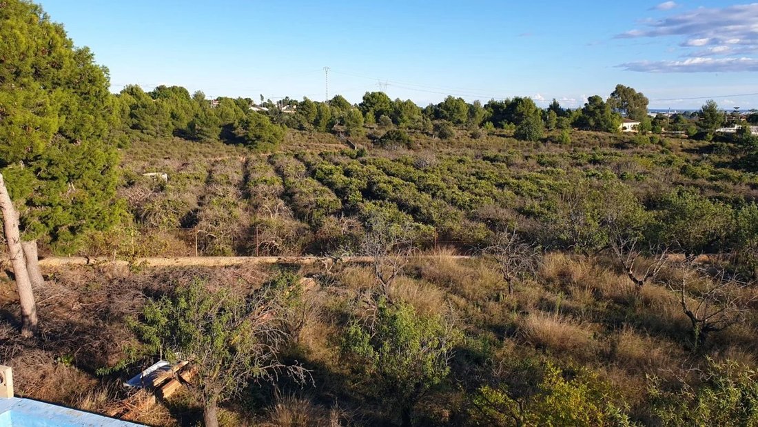 Land in Naquera / Naquera, Valencian Community, Spain 4 - 17080829