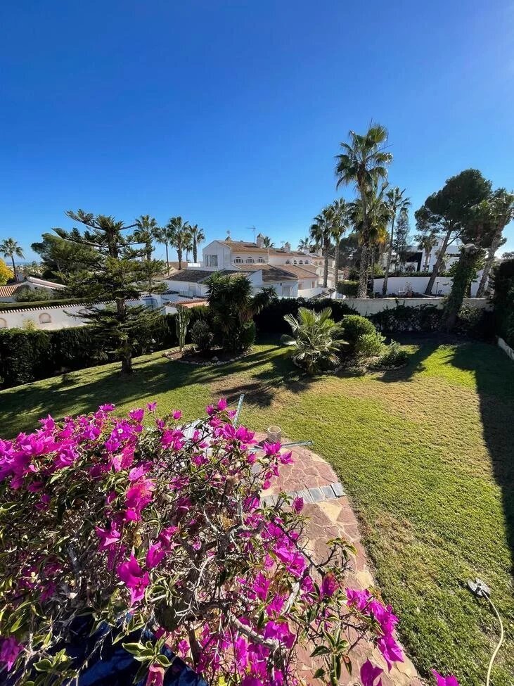 Villa in Villamartin, Andalusia, Spain 3 - 17076917