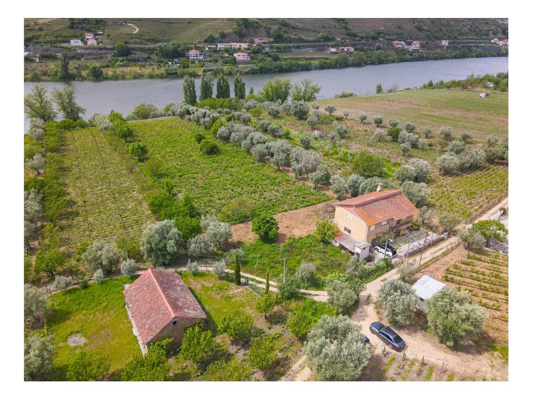 Villa in Cambres, Viseu District, Portugal 5 - 17078800