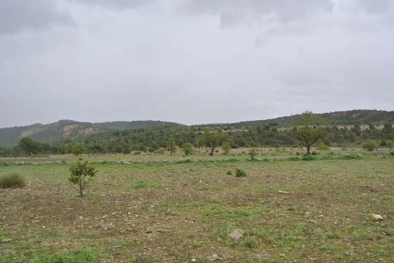 Terrain à Yecla, Murcie, Espagne 5 - 17081269