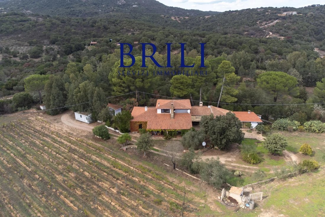 Villa in Peripheral Fractions, Olbia, Sardinia 4 - 16473384